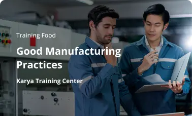 Good Manufacturing Practices (GMP)