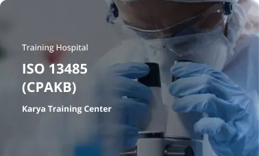 ISO 13485